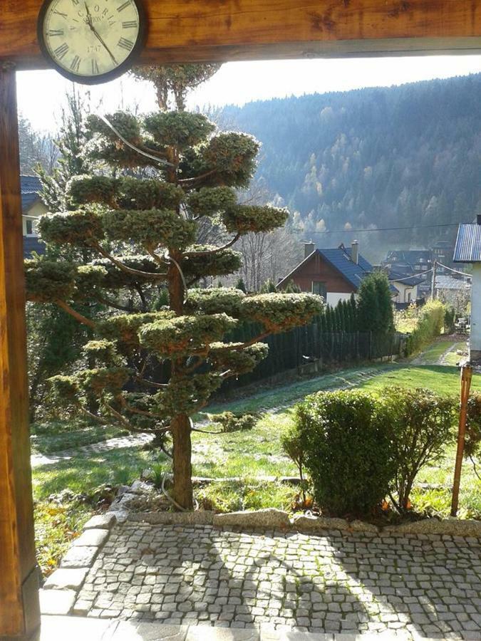 Domek Nicponia Щирк Екстериор снимка